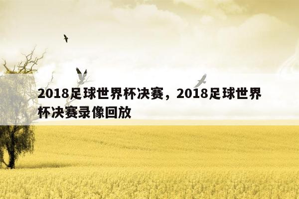 2018足球世界杯决赛，2018足球世界杯决赛录像回放