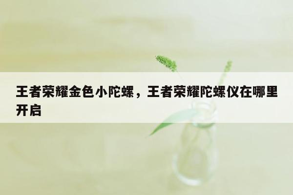 王者荣耀金色小陀螺，王者荣耀陀螺仪在哪里开启