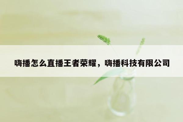 嗨播怎么直播王者荣耀，嗨播科技有限公司