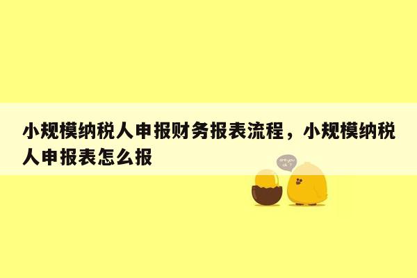 小规模纳税人申报财务报表流程，小规模纳税人申报表怎么报