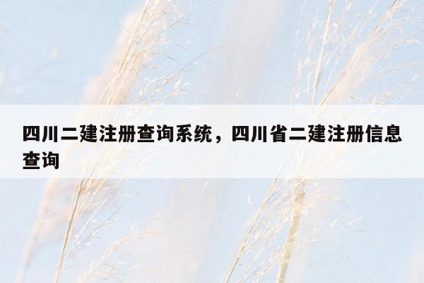 四川二建注册查询系统，四川省二建注册信息查询