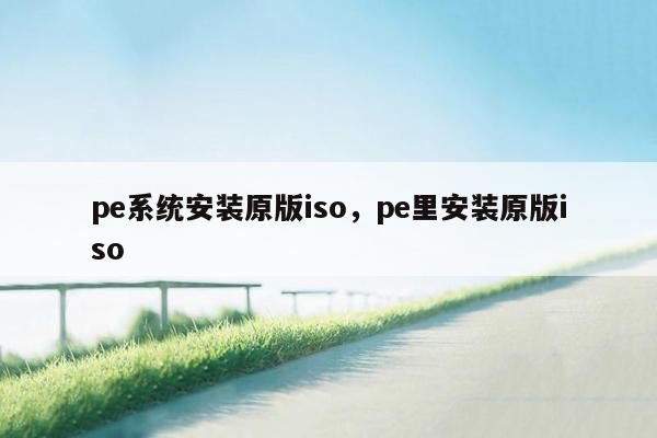 pe系统安装原版iso，pe里安装原版iso