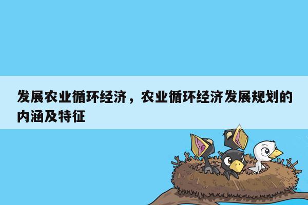 发展农业循环经济，农业循环经济发展规划的内涵及特征