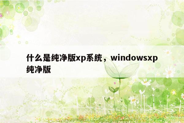 什么是纯净版xp系统，windowsxp纯净版