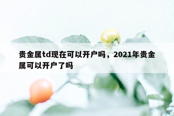 贵金属td现在可以开户吗，2021年贵金属可以开户了吗