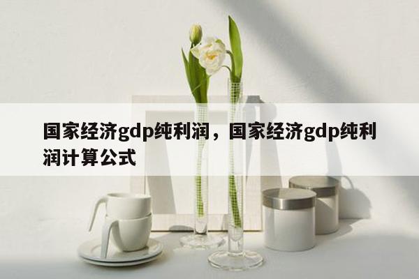 国家经济gdp纯利润，国家经济gdp纯利润计算公式