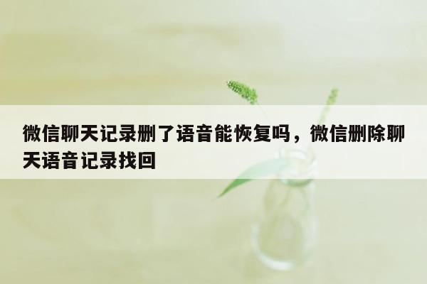 微信聊天记录删了语音能恢复吗，微信删除聊天语音记录找回