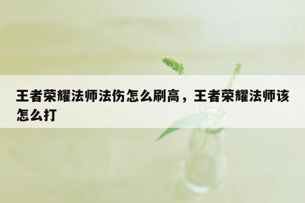 王者荣耀法师法伤怎么刷高，王者荣耀法师该怎么打