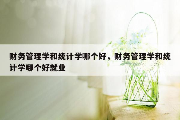 财务管理学和统计学哪个好，财务管理学和统计学哪个好就业