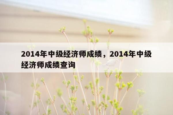 2014年中级经济师成绩，2014年中级经济师成绩查询