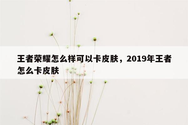 王者荣耀怎么样可以卡皮肤，2019年王者怎么卡皮肤