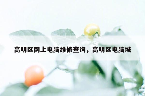 高明区网上电脑维修查询，高明区电脑城