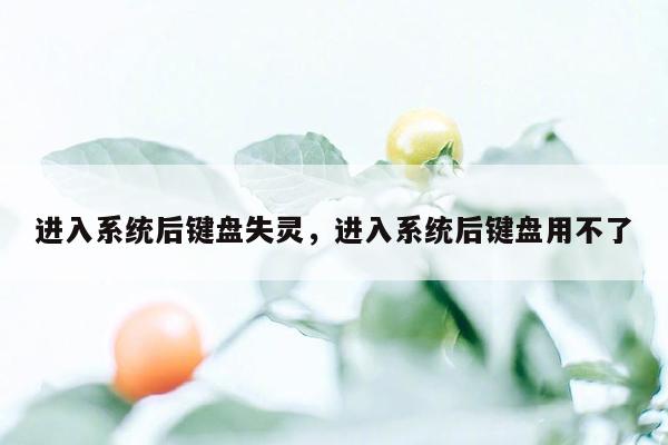 进入系统后键盘失灵，进入系统后键盘用不了