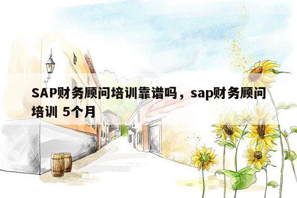 SAP财务顾问培训靠谱吗，sap财务顾问培训 5个月