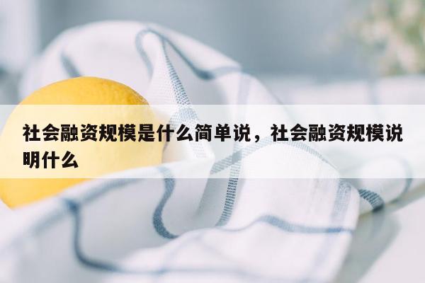 社会融资规模是什么简单说，社会融资规模说明什么