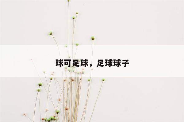 球可足球，足球球子