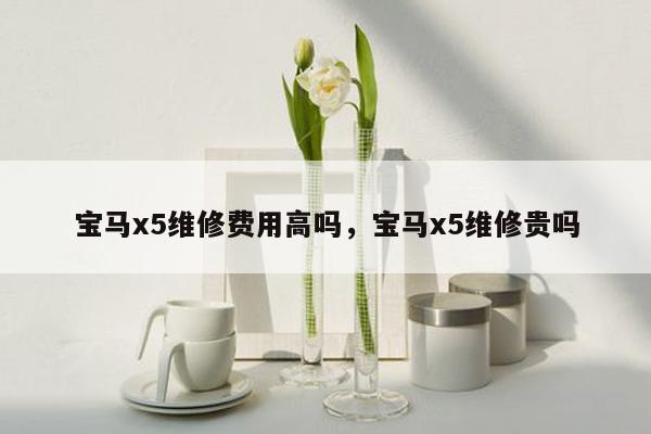 宝马x5维修费用高吗，宝马x5维修贵吗