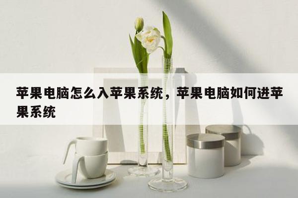 苹果电脑怎么入苹果系统，苹果电脑如何进苹果系统