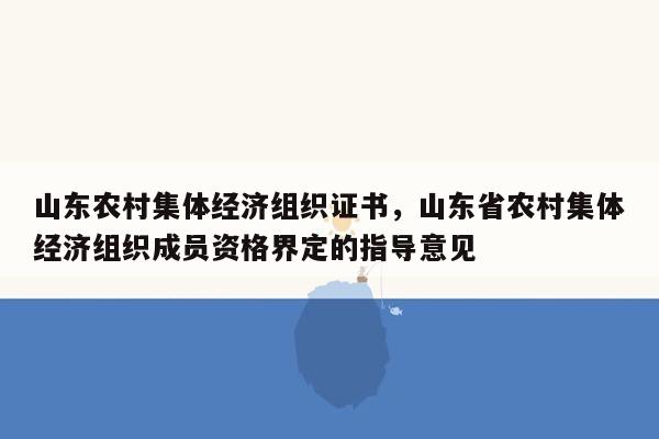 山东农村集体经济组织证书，山东省农村集体经济组织成员资格界定的指导意见