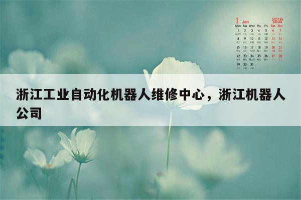 浙江工业自动化机器人维修中心，浙江机器人公司