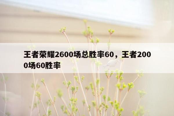 王者荣耀2600场总胜率60，王者2000场60胜率