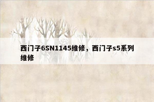 西门子6SN1145维修，西门子s5系列维修