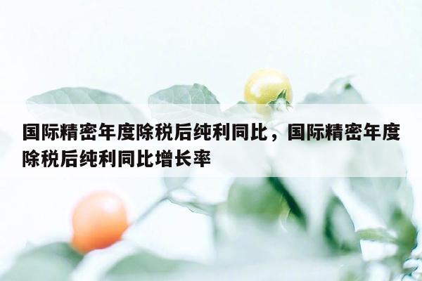 国际精密年度除税后纯利同比，国际精密年度除税后纯利同比增长率