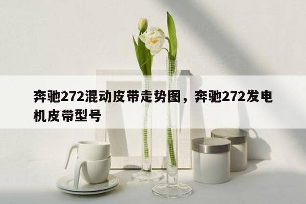 奔驰272混动皮带走势图，奔驰272发电机皮带型号