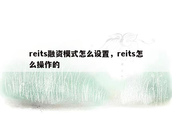 reits融资模式怎么设置，reits怎么操作的