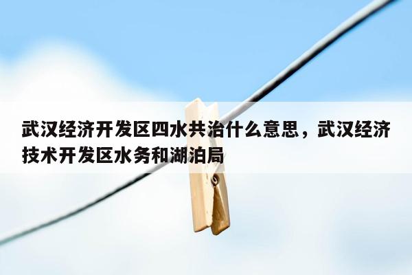 武汉经济开发区四水共治什么意思，武汉经济技术开发区水务和湖泊局