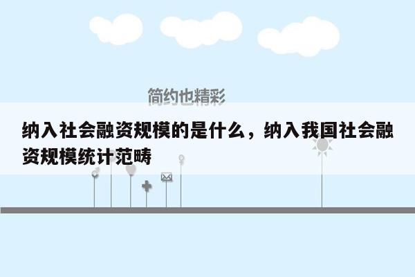 纳入社会融资规模的是什么，纳入我国社会融资规模统计范畴