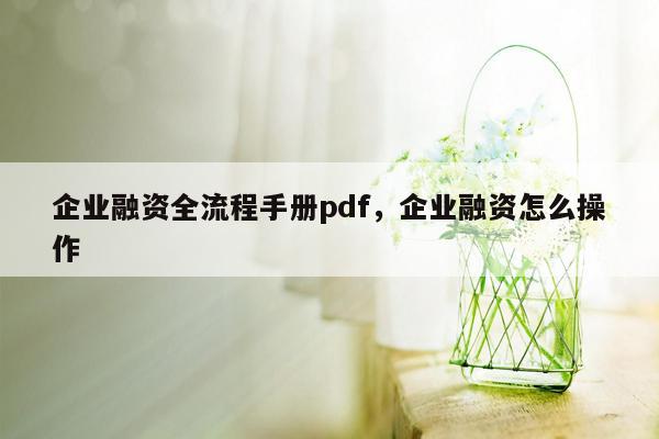 企业融资全流程手册pdf，企业融资怎么操作