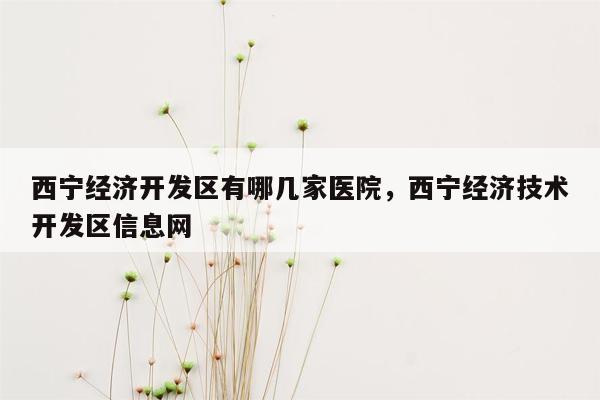 西宁经济开发区有哪几家医院，西宁经济技术开发区信息网