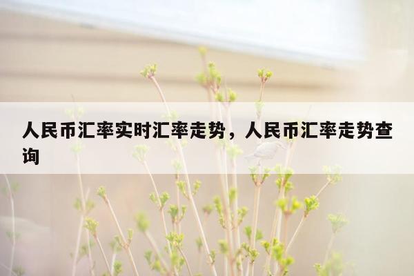 人民币汇率实时汇率走势，人民币汇率走势查询