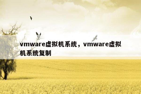 vmware虚拟机系统，vmware虚拟机系统复制