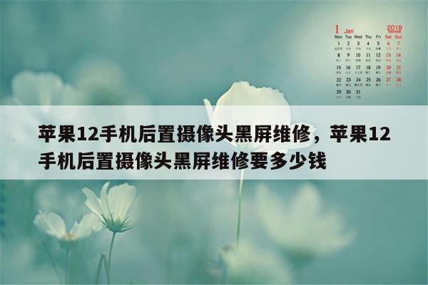 苹果12手机后置摄像头黑屏维修，苹果12手机后置摄像头黑屏维修要多少钱