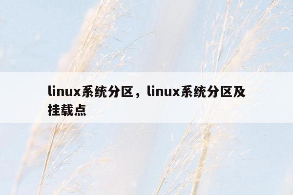 linux系统分区，linux系统分区及挂载点