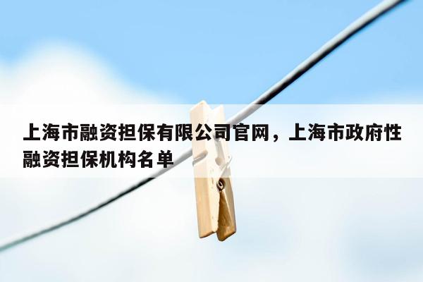 上海市融资担保有限公司官网，上海市政府性融资担保机构名单