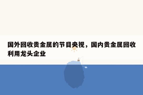 国外回收贵金属的节目央视，国内贵金属回收利用龙头企业