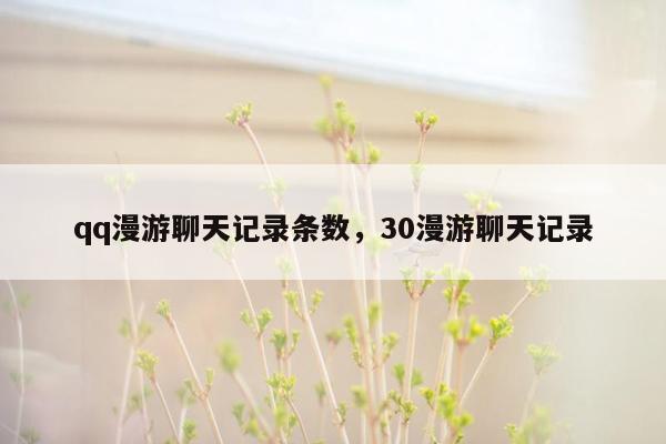 qq漫游聊天记录条数，30漫游聊天记录