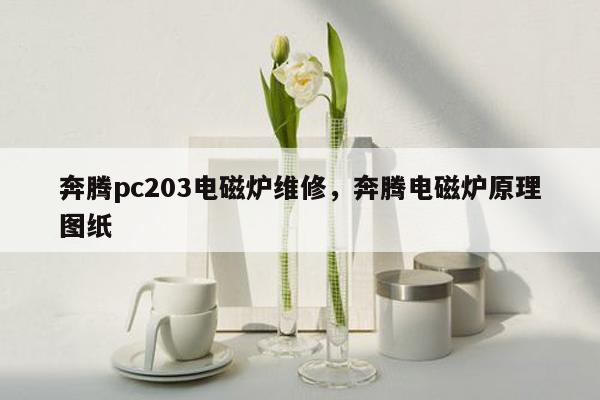 奔腾pc203电磁炉维修，奔腾电磁炉原理图纸