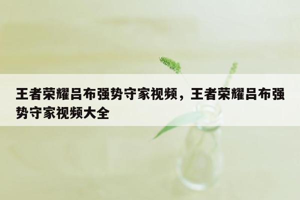 王者荣耀吕布强势守家视频，王者荣耀吕布强势守家视频大全