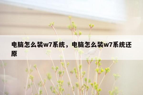 电脑怎么装w7系统，电脑怎么装w7系统还原