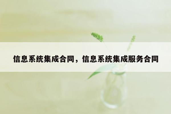 信息系统集成合同，信息系统集成服务合同