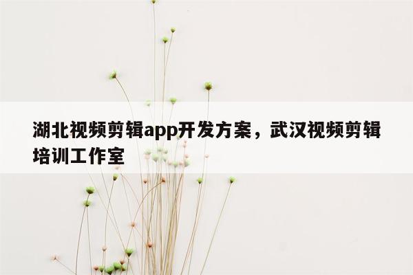 湖北视频剪辑app开发方案，武汉视频剪辑培训工作室