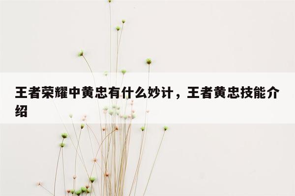 王者荣耀中黄忠有什么妙计，王者黄忠技能介绍