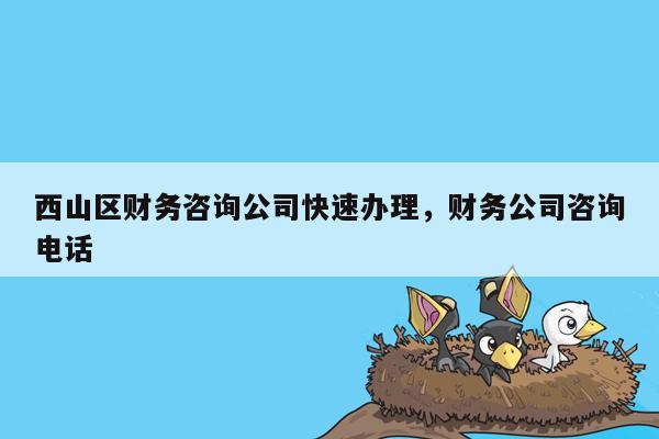 西山区财务咨询公司快速办理，财务公司咨询电话