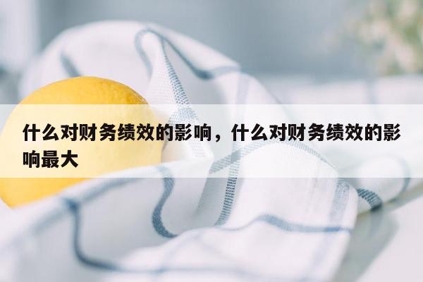 什么对财务绩效的影响，什么对财务绩效的影响最大