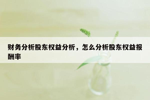 财务分析股东权益分析，怎么分析股东权益报酬率