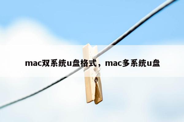 mac双系统u盘格式，mac多系统u盘